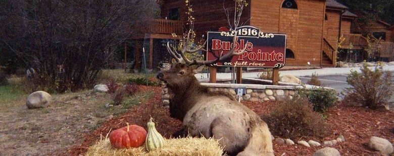 Estes Park Condos