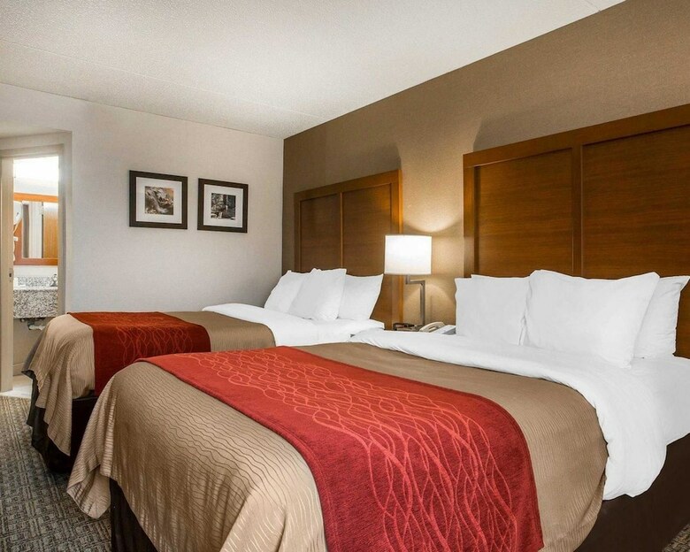 Hotel Comfort Inn Latham - Albany North