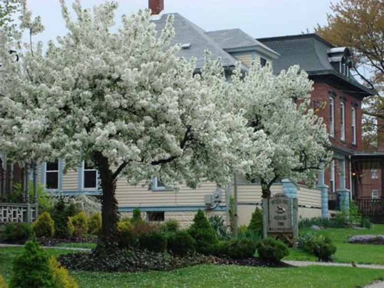 Bed & Breakfast Rocking Horse Inn
