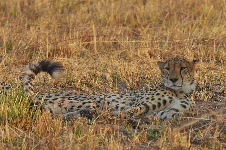 Posada Mukambi Safari Lodge - All Inclusive