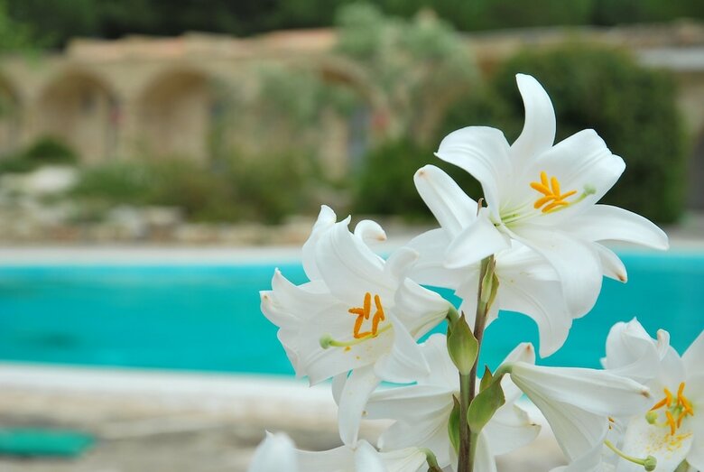 Agroturismo Masseria Relais Santa Teresa