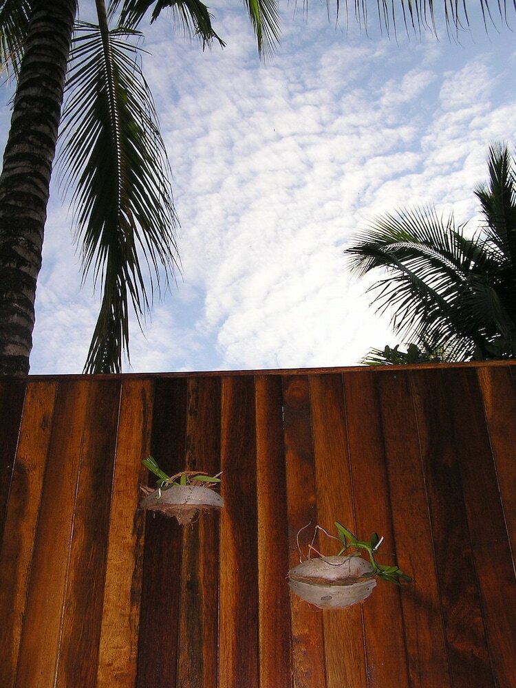 Hotel North Borneo Biostation Resort