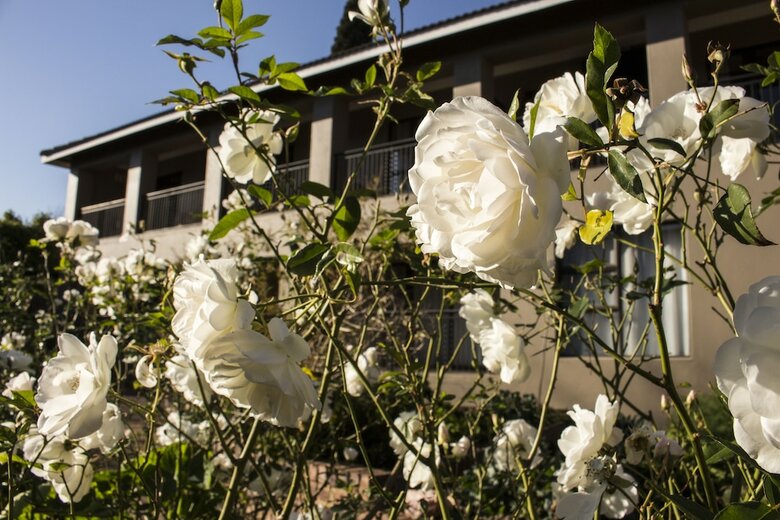 Hotel Ruth Avenue Guest House