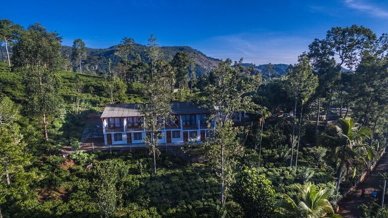 Hotel The Tea Tree Resort