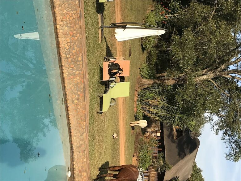 Caracal Lodge