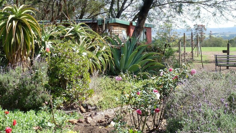 Agroturismo Outeniqua Moon Percheron Stud