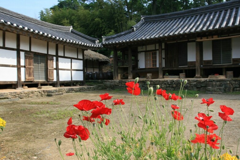 Hotel Yi Jin-rae's Historic House