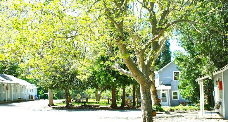 The Pines Motel And Cottages