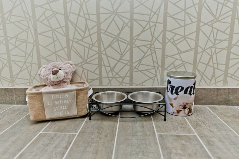 Hotel Residence Inn By Marriott Austin Southwest