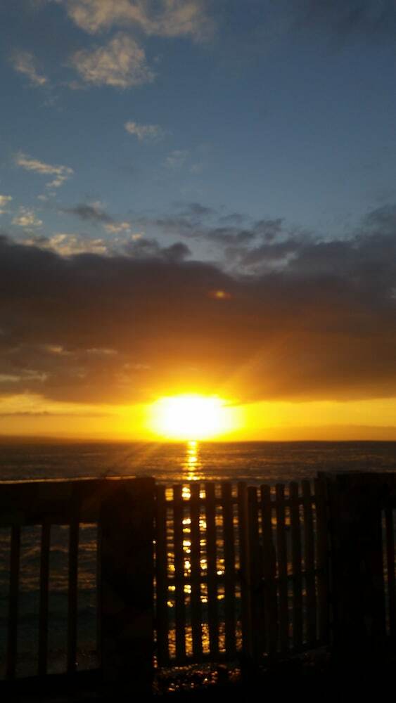 Hotel Mdf Beach Resort And Day Tours