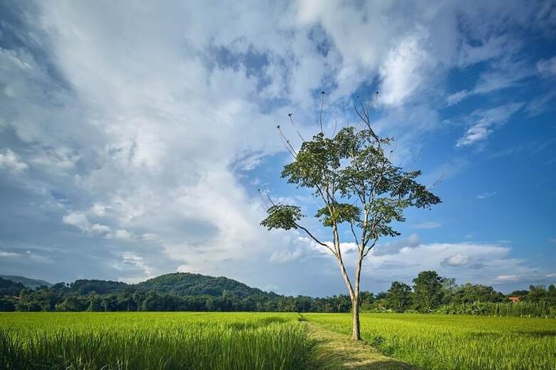 Hotel Bambuh Boutique Homestay