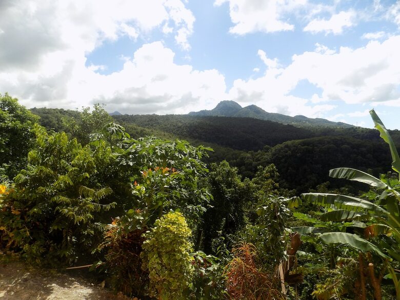 Hotel Tropical Paradise View