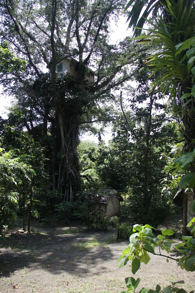 Hotel Tanna Lava View Bungalows