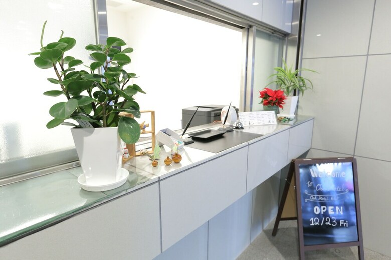 Hostal Oak Hotel Edo - Hostel