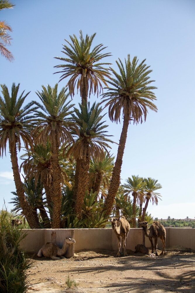 Posada Skoura Lodge