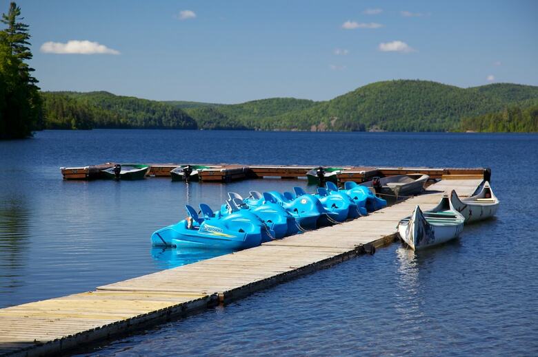 Hotel H�tel Sacacomie