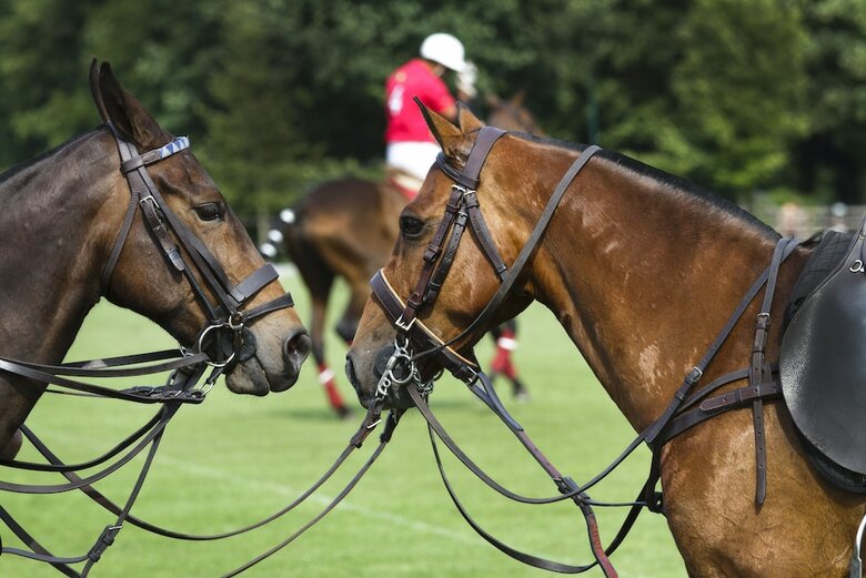 Hotel Quito Polo Club S.a