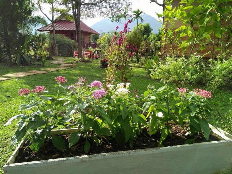 Hotel Maesai Doi View Resort
