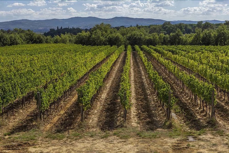 Apartamento I Borrigiani ? Il Borro Toscana