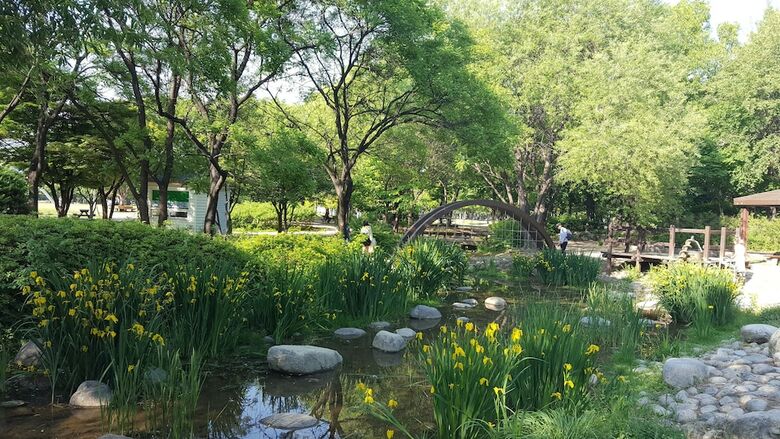 Hostal Seoul Forest Guesthouse - Hostel