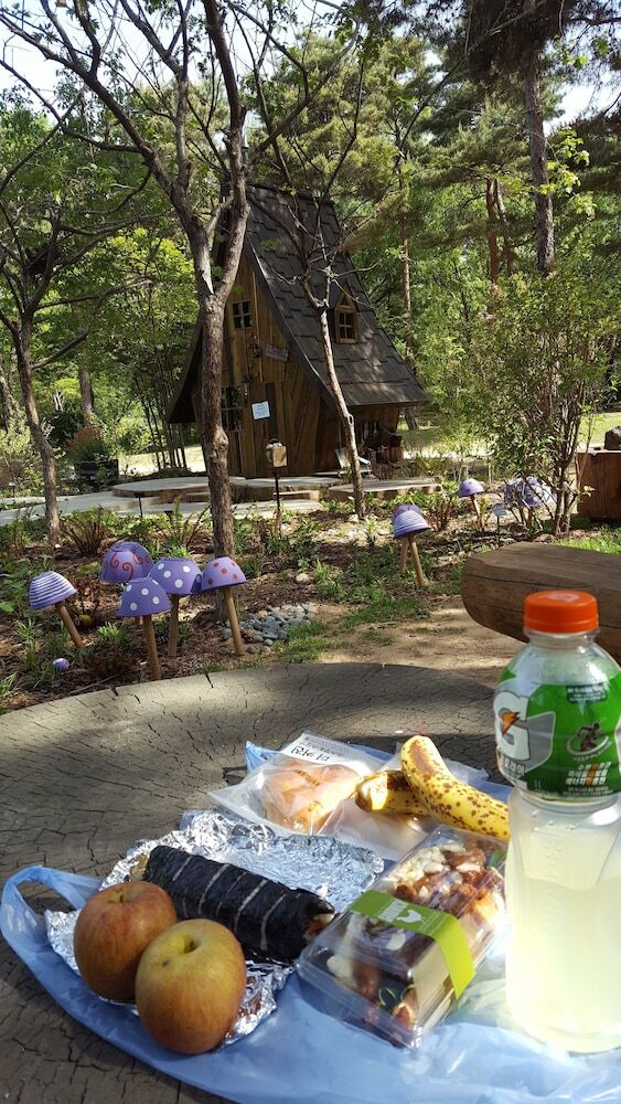 Hostal Seoul Forest Guesthouse - Hostel