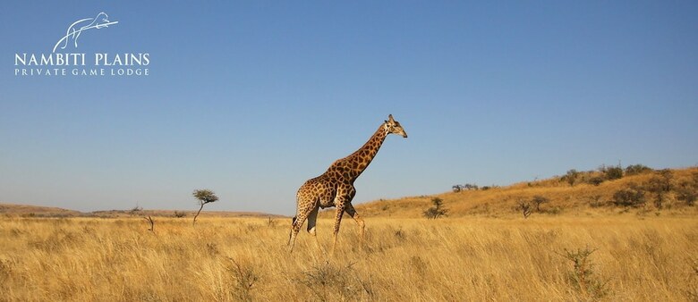 Posada Nambiti Plains Private Game Lodge