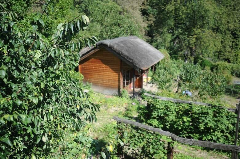 Ekosamotnia Eco Dream Pension