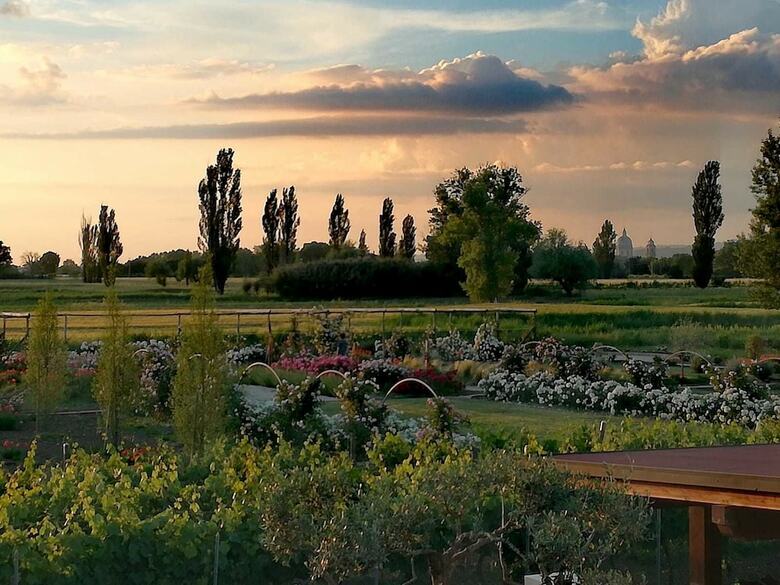 Bed & Breakfast Il Fienile Di Assisi