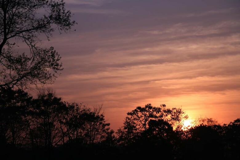 Hotel Sarang Wildlife Sanctuary