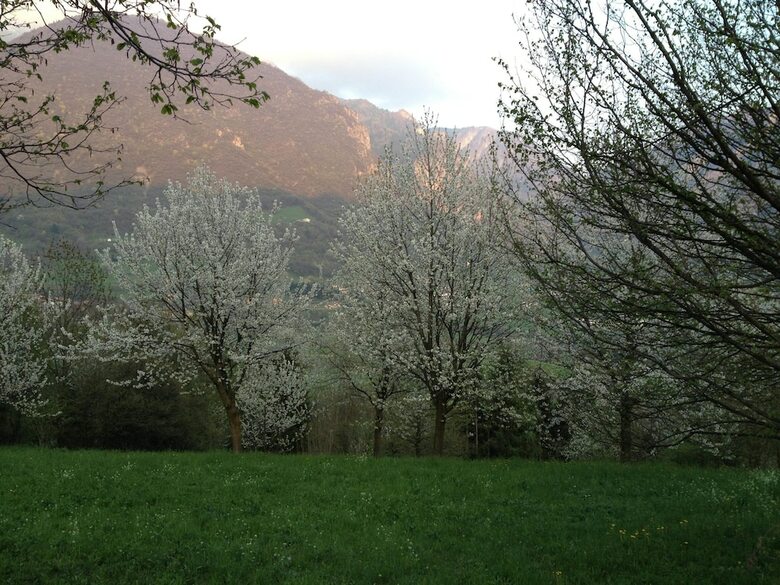 B&B Pad� - Immersi Nella Natura