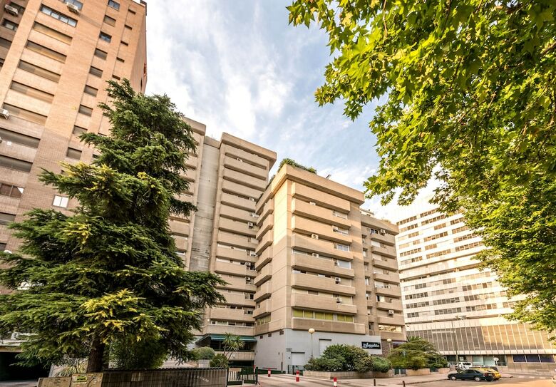 Apartamentos �tico Cuzco Castellana Smart