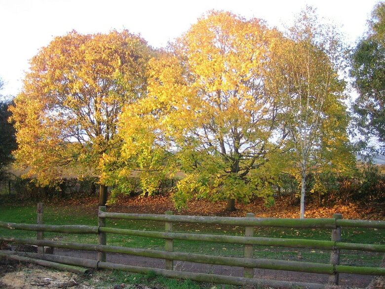 Hotel Lowe Farm - Bed & Breakfast Leominster