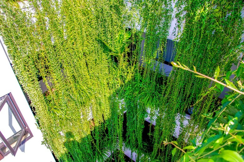Lucky Danang Hotel & Apartment