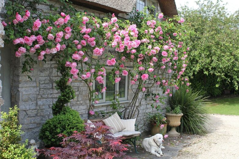 Bed & Breakfast West Knole House B & B