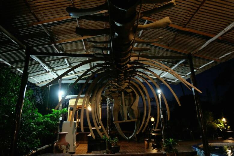 Hostal Little Hotel Koh Tao