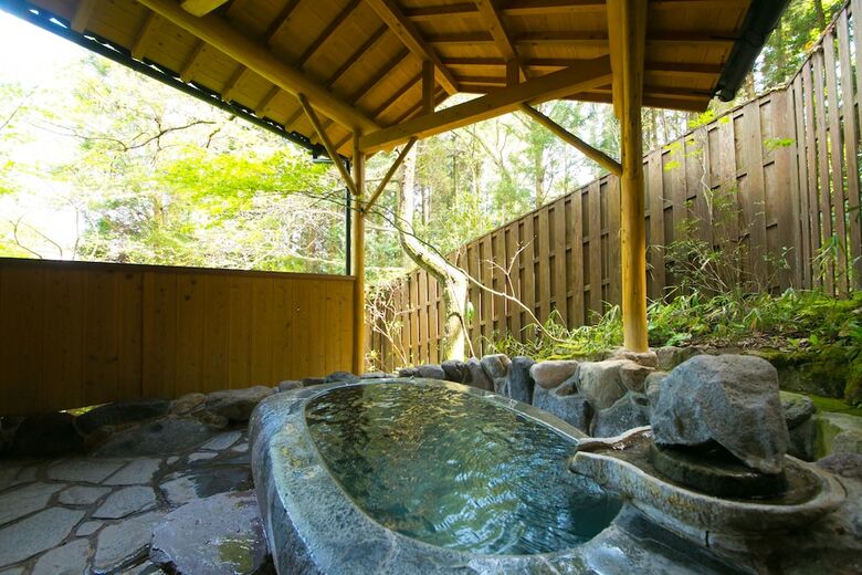 Nihon No Ashitaba