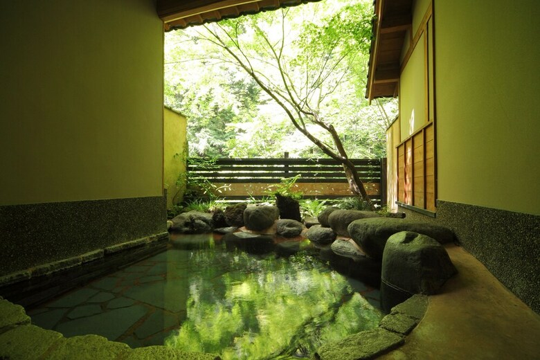 Nihon No Ashitaba