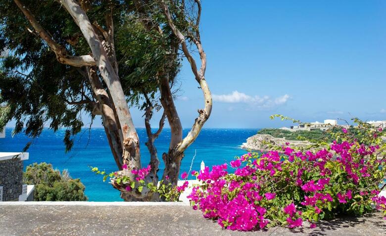 Alkistis Hotel Mykonos - Adult Only