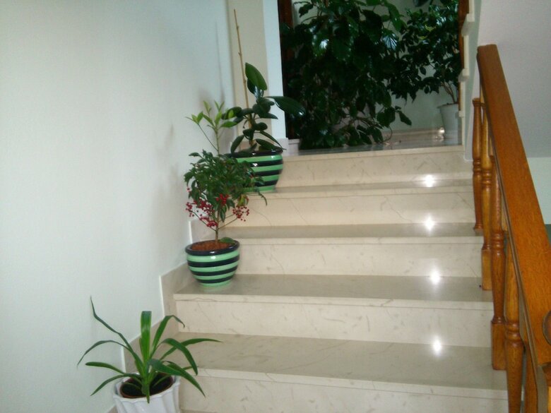 Hotel Guesthouse Zeko Rozat