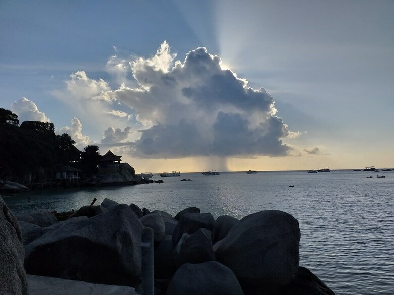 Hotel Freedom Beach Resort