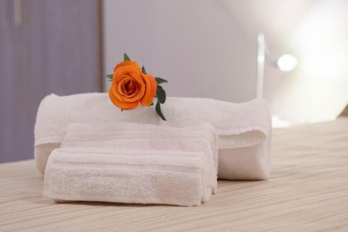 Domus Il Palio B&B