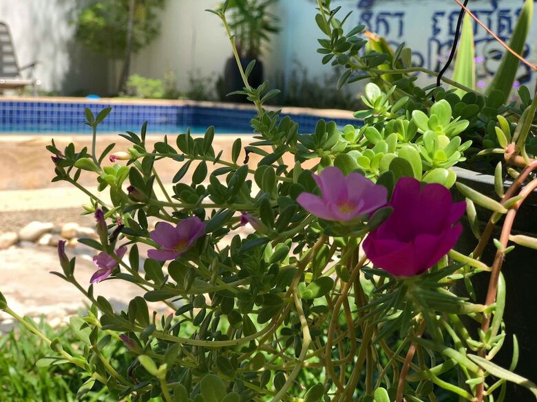 Hotel Nika's House