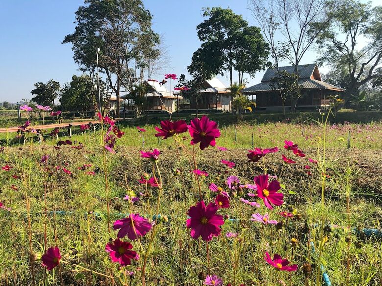 Hotel Ban Suan Tawan Chiang Dao