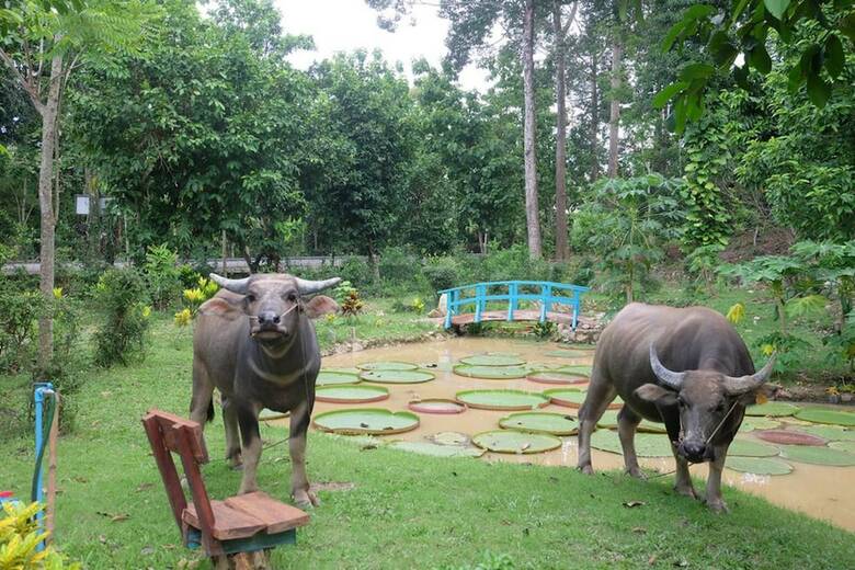 Hotel Villa Panalai