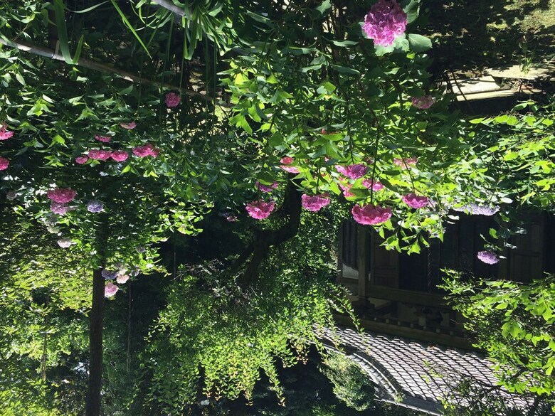 Hostal Guest House Kamejikan - Hostel