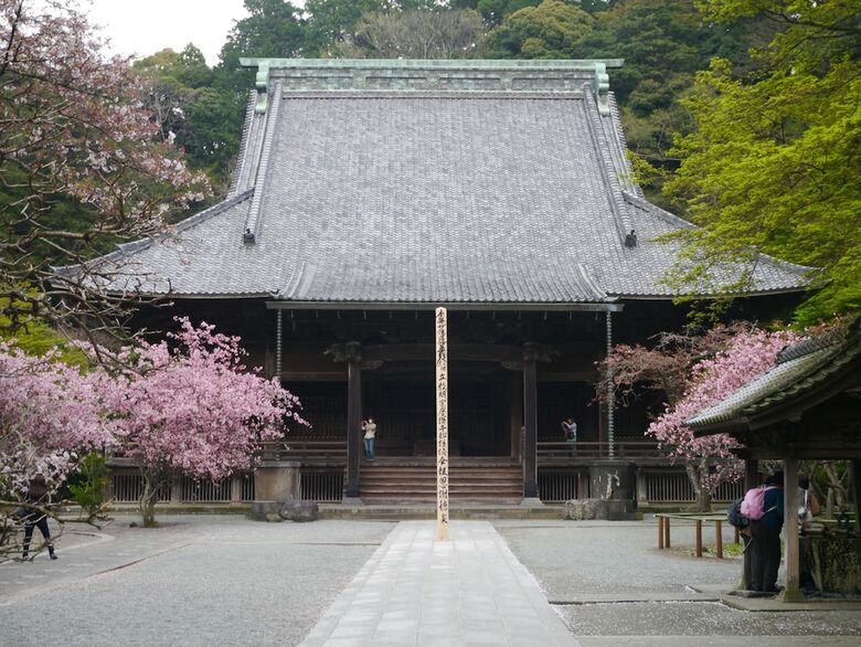 Hostal Guest House Kamejikan - Hostel
