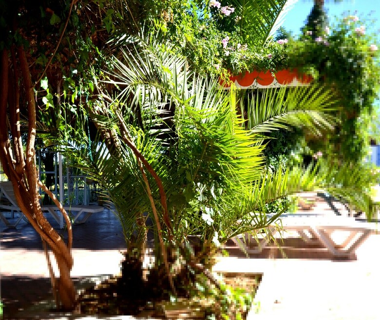 Hotel Le Jardin Des Roses