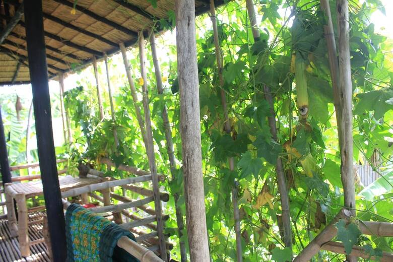Hotel Battambang Dream Bungalows