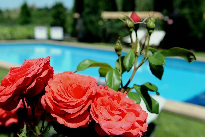 Hotel Relais Gli Ulivi