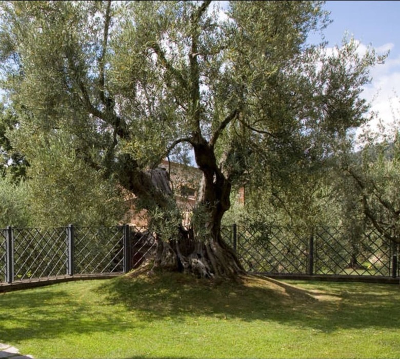 Hotel Relais Gli Ulivi